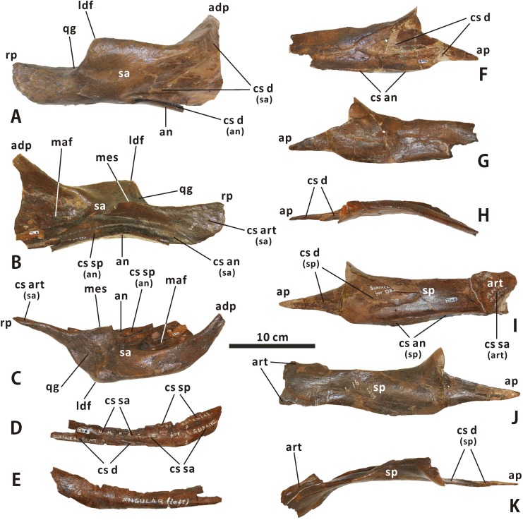 Fig 18