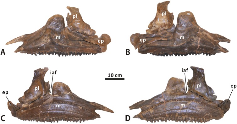 Fig 6