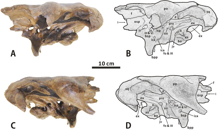 Fig 11