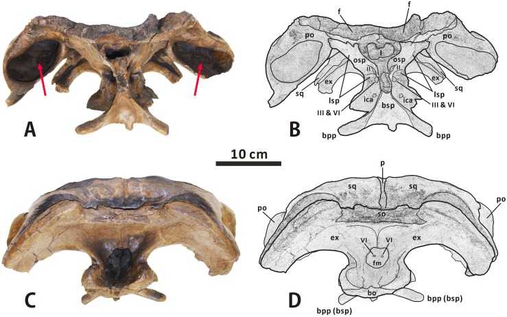 Fig 12