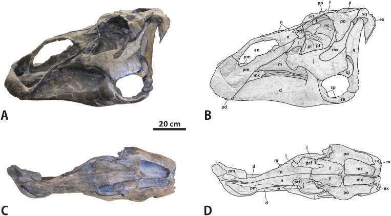 Fig 3