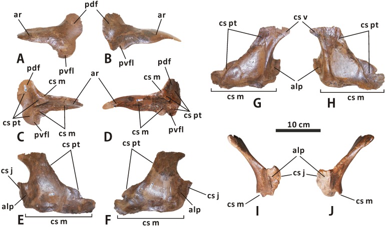 Fig 13