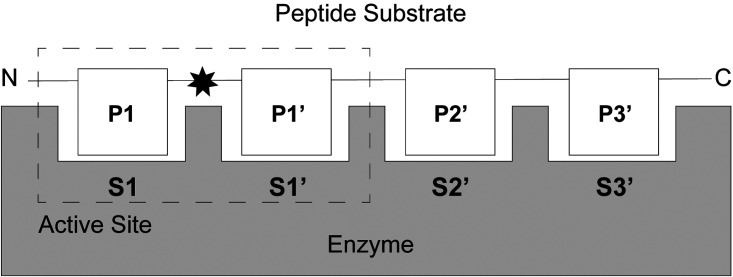 Figure 1.