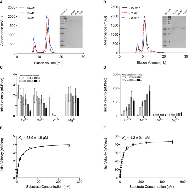 Figure 2.