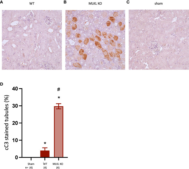 Figure 6