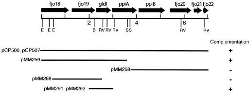 FIG. 1.