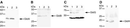 FIG. 5.