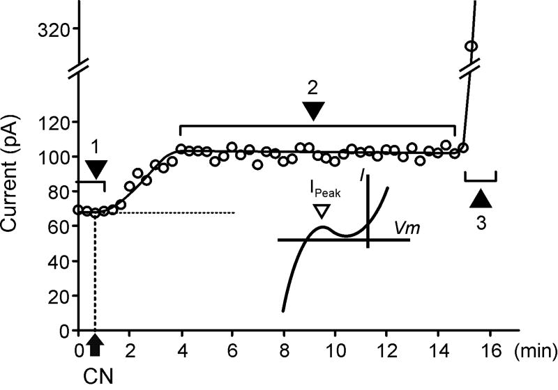 Fig. 3