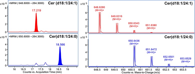 Fig. 3