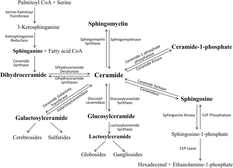 Fig. 9