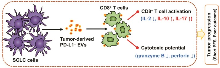 Graphical Abstract