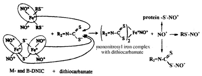 Scheme 2