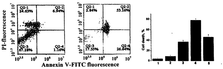 Figure 24