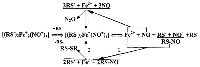 Scheme 3