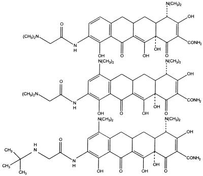 graphic file with name mr0210009tp2.jpg