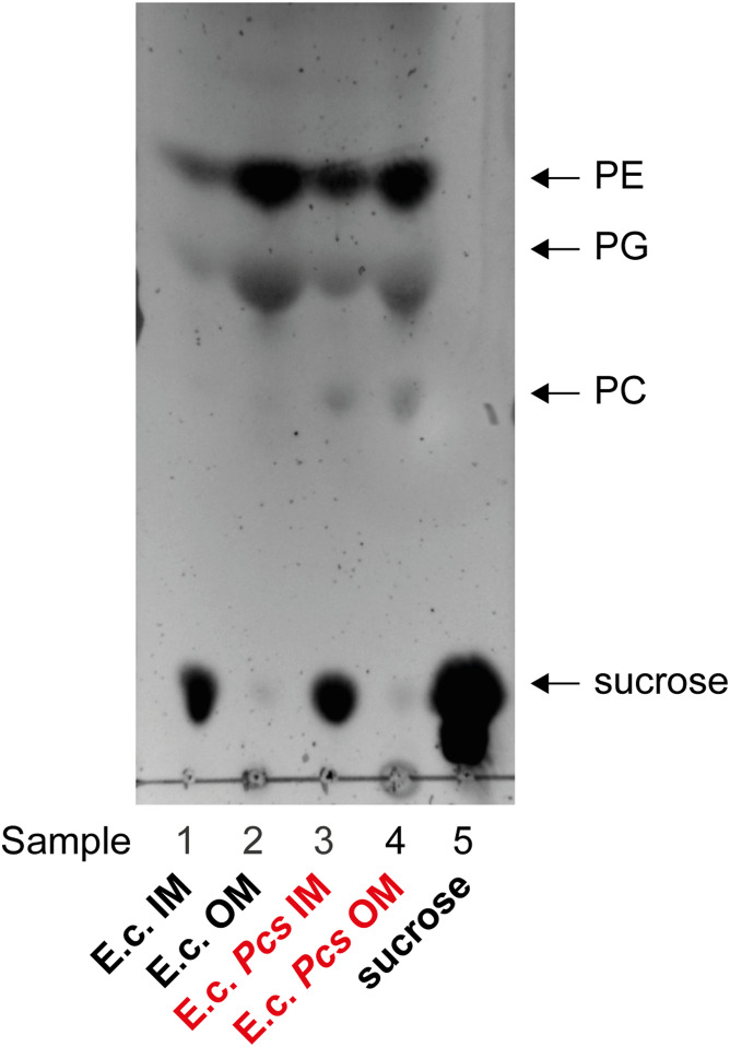 Fig. 4.