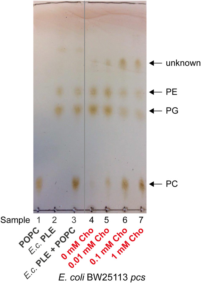 Fig. 2.