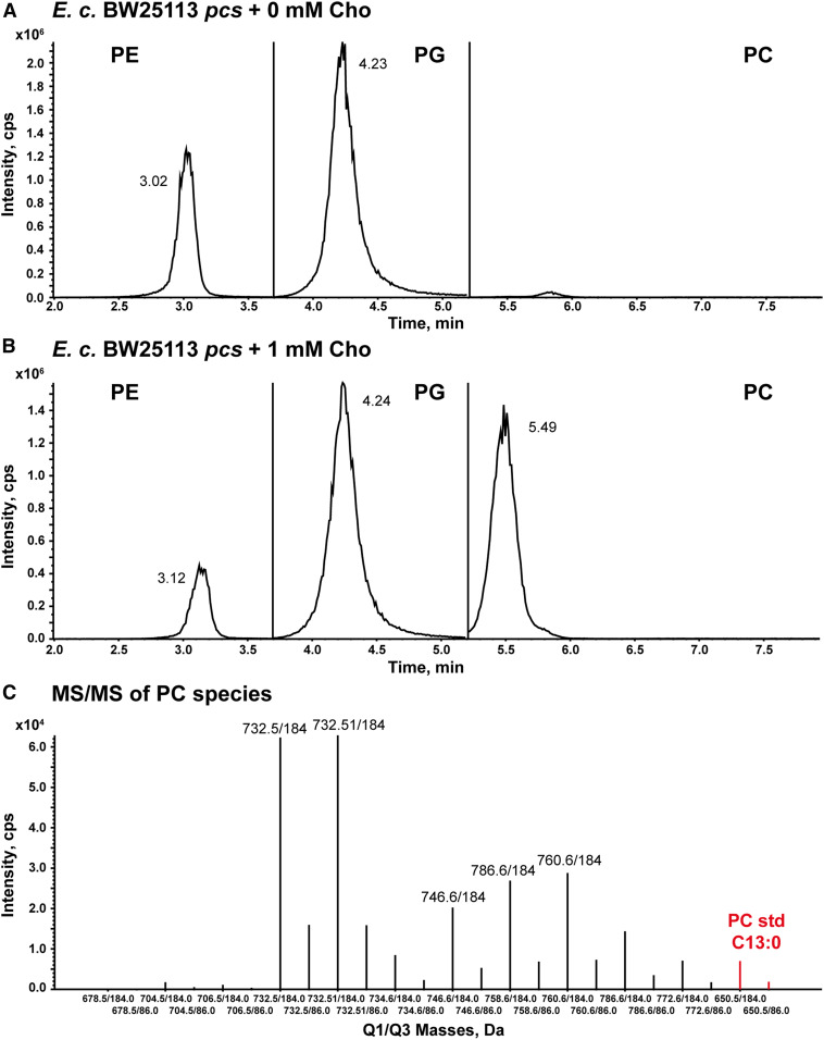 Fig. 3.