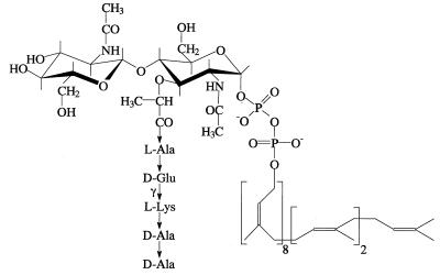 FIG. 6