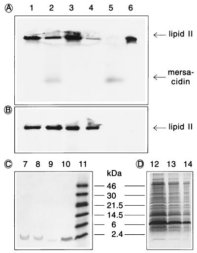 FIG. 5