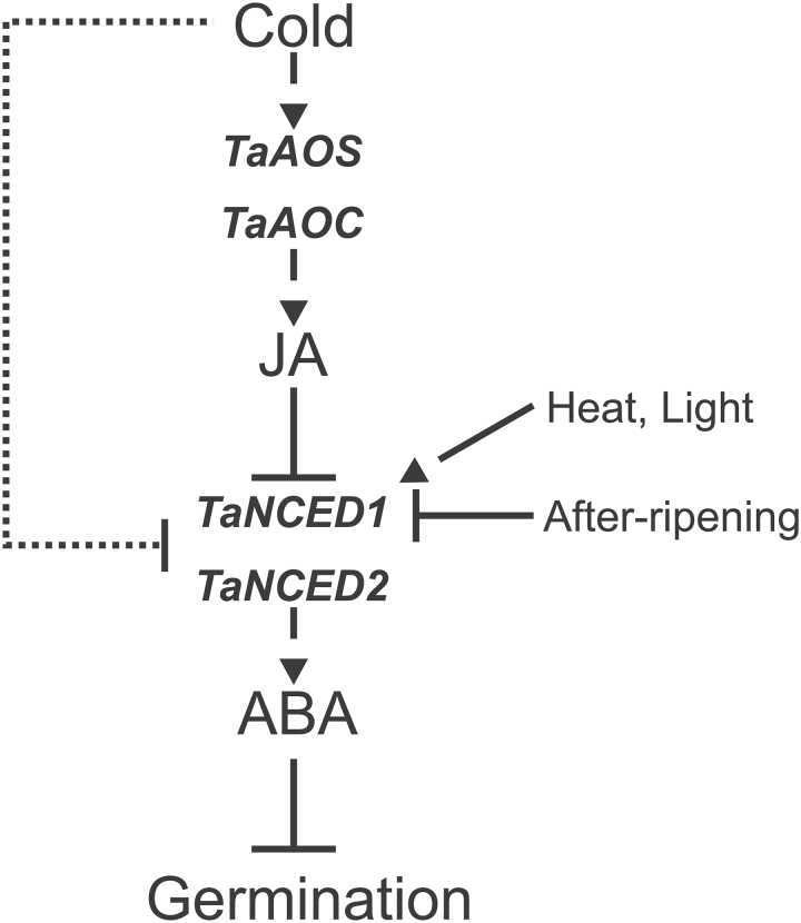 Fig. 7.