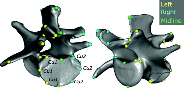 Fig. 2