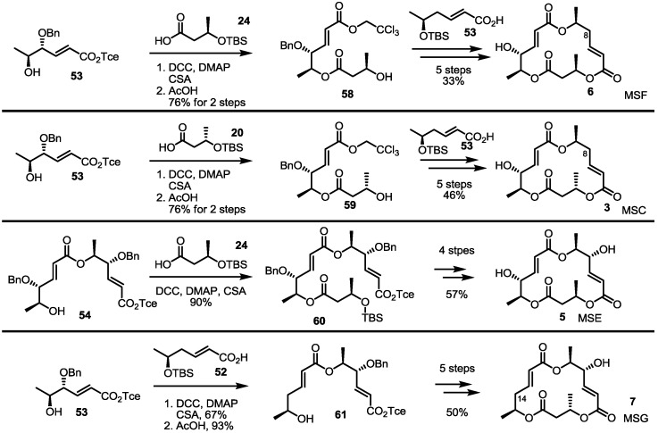 Scheme 7