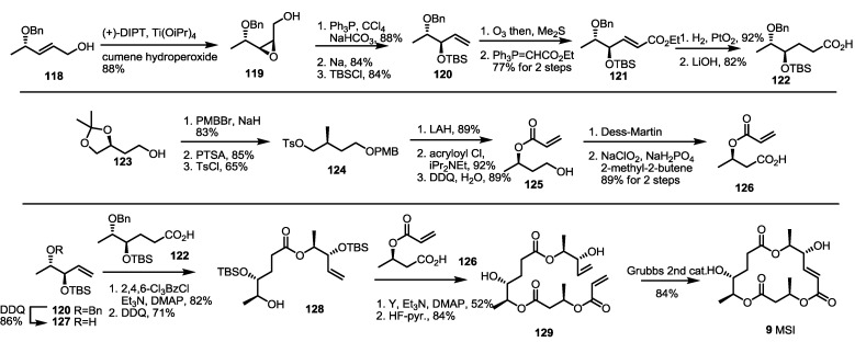 Scheme 16