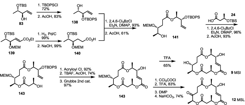 Scheme 18