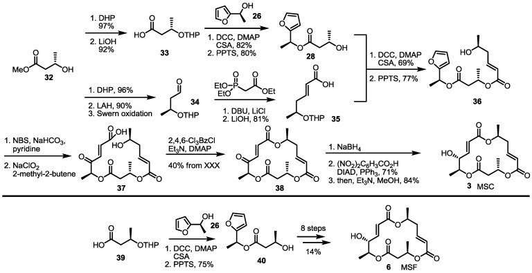 Scheme 3