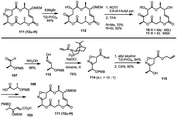 Scheme 14