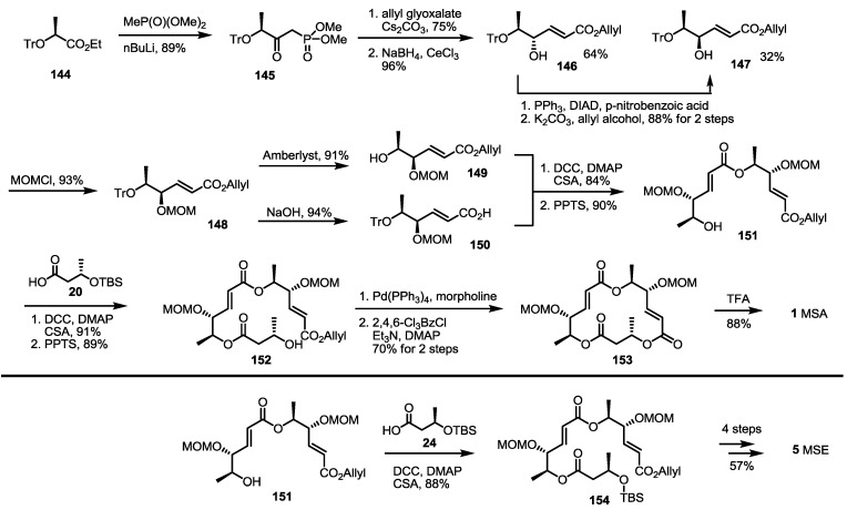 Scheme 19