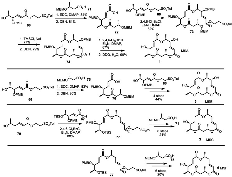 Scheme 9