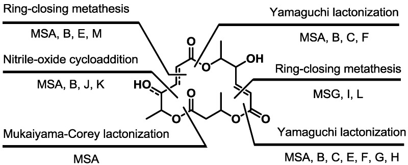 Scheme 22