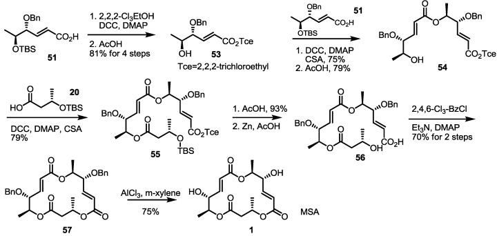 Scheme 6