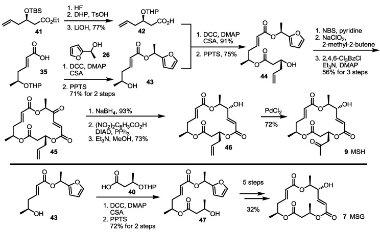 Scheme 4