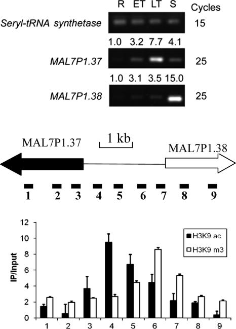 FIG. 4.