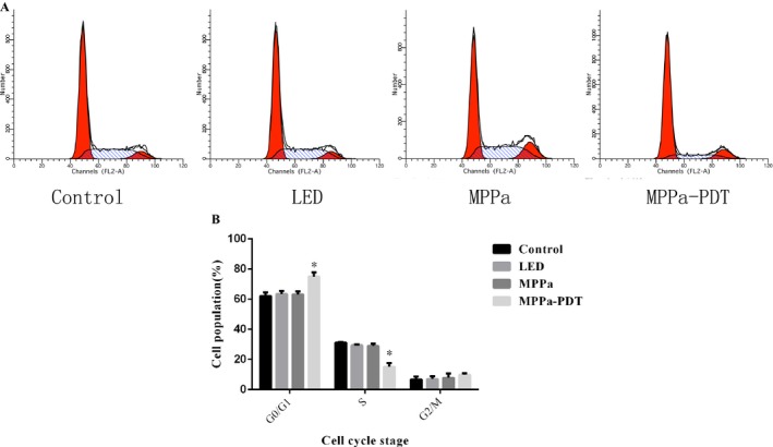 Figure 6