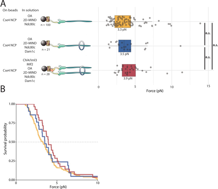 Figure 5—figure supplement 2.