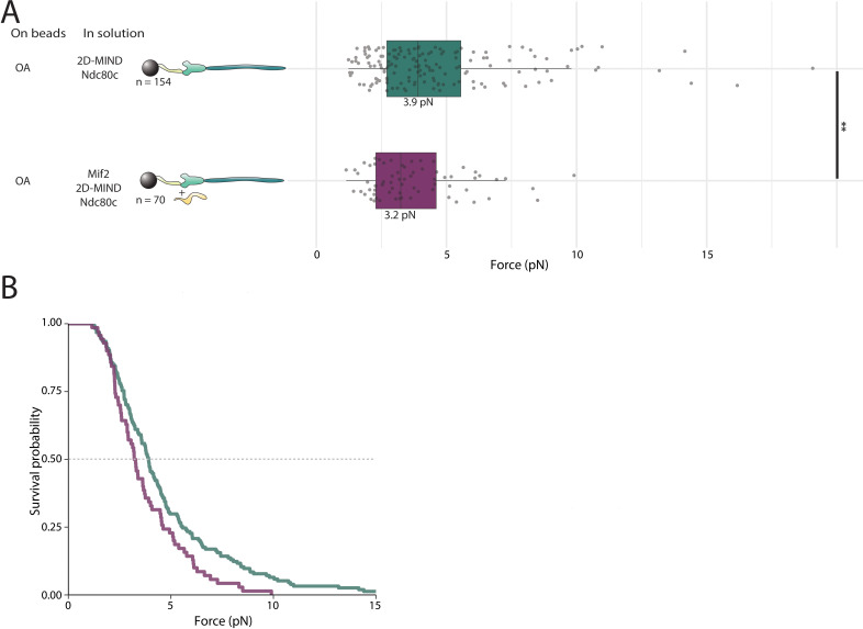 Figure 4—figure supplement 1.