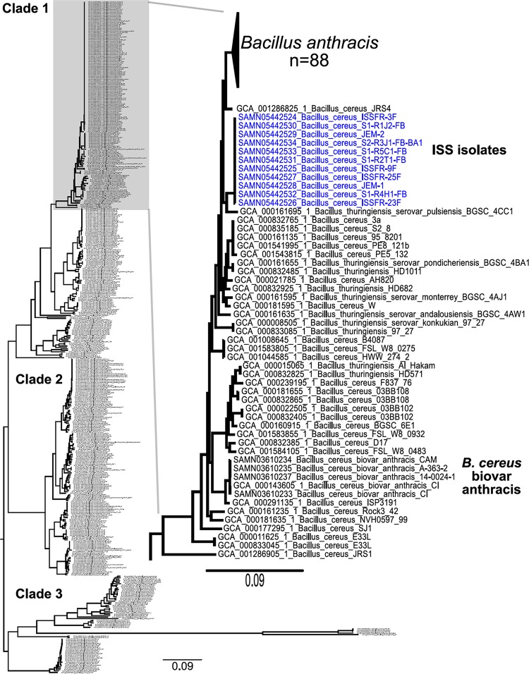 FIG 4 