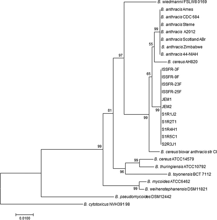 FIG 3 