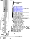 FIG 4
