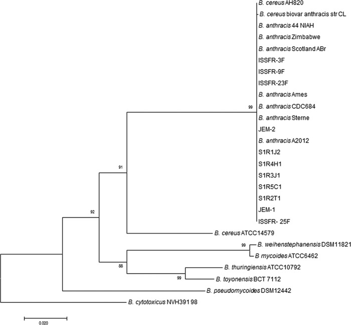 FIG 2 