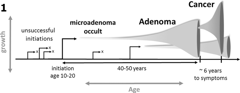 Fig. 1: