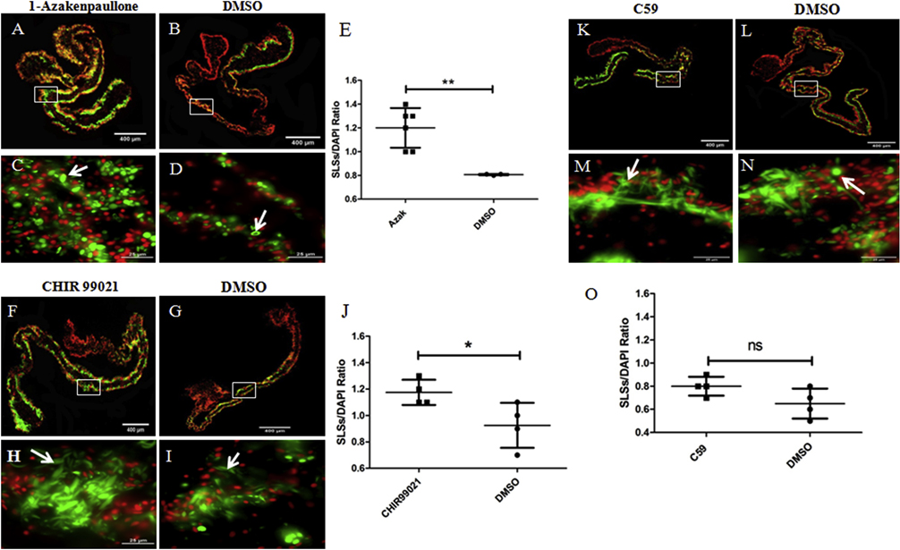 Figure 12.