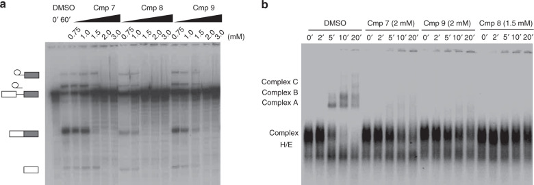 Fig. 5