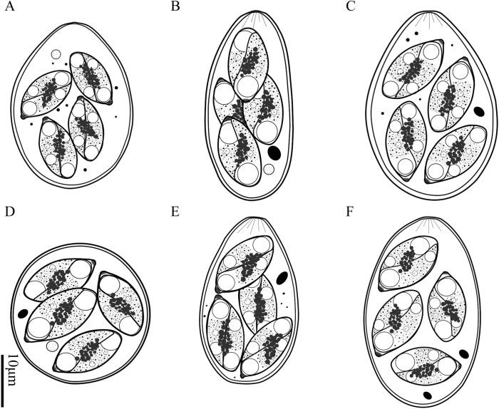 Figure 2.