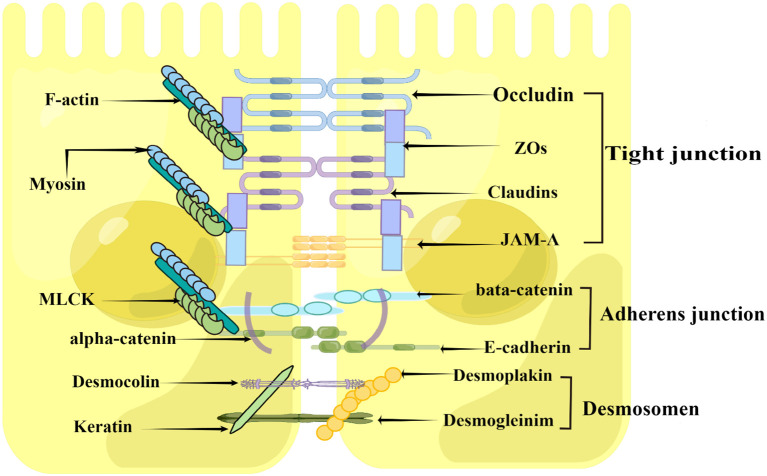 Figure 2