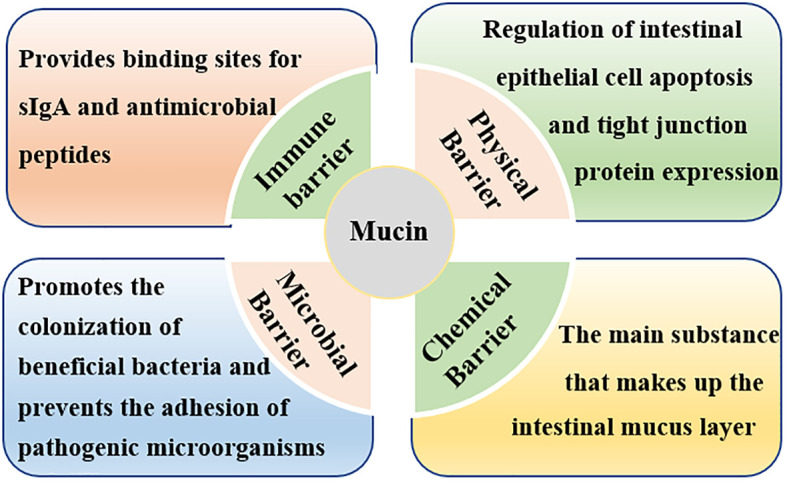 Figure 3